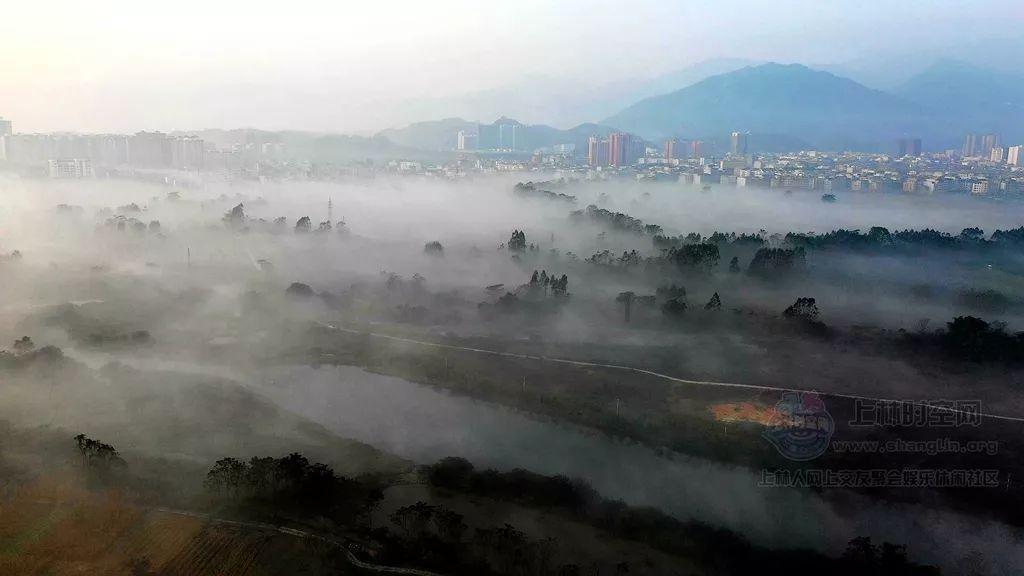 探寻答案，尽在海岛奇兵神像数据表问答平台
