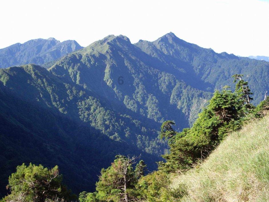 逃离宝藏岛屿
